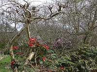 23-04-2006_18-34-30_16