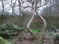 23-04-2006_18-37-55_66