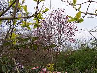 29-04-05kodak_001