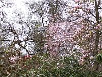 29-04-05kodak_048