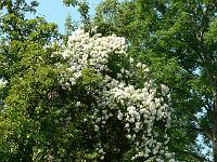 07-07-2006_10-57-35_22