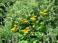 10-07-2006_11-52-08_70