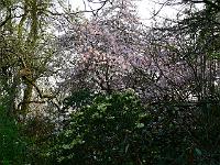 07-05-2006_19-22-06_275