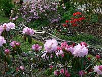 07-05-2006_19-24-27_314