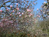 08-05-2006_09-28-31_33