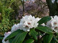 08-05-2006_09-30-41_69