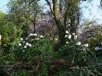 08-05-2006_09-32-21_96