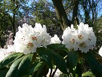 09-05-2006_19-08-16_85