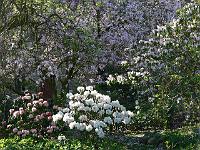 09-05-2006_19-08-44_93