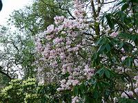 10-05-2006_07-05-46_73