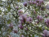 10-05-2006_09-02-59_17