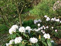 10-05-2006_09-05-51_52