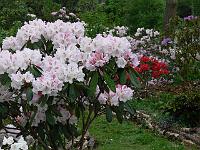 13-05-2006_07-23-52_64