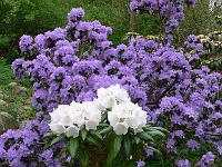 13-05-2006_10-43-54_23