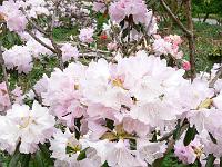 13-05-2006_10-53-25_171