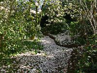 14-05-2006_08-17-10_86