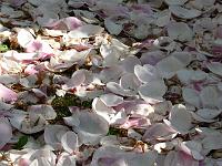 14-05-2006_08-17-53_97