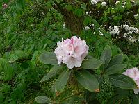 15-05-2006_10-24-08_232