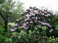 20-05-2006_07-11-18_123