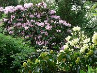 21-05-2006_08-34-58_112