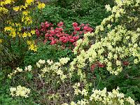 21-05-2006_16-49-35_38