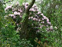 21-05-2006_16-57-50_173