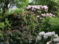 21-05-2006_17-43-25_49