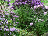 23-05-2006_09-08-05_02