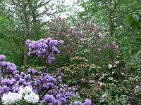 23-05-2006_09-10-32_41