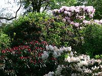 23-05-2006_18-34-35_200