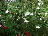 25-05-2006_09-16-27_63