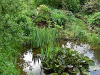 25-05-2006_09-21-26_141