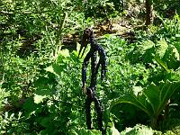 25-05-2007_10-36-12_48