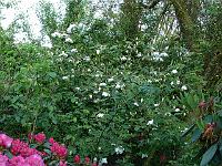 27-05-2006_20-15-22_191