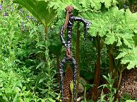 28-05-2007_17-54-28_02