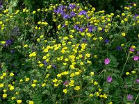 28-05-2007_17-55-06_13