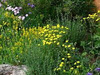 28-05-2007_17-55-20_17