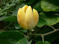 06-09-2006_15-01-27_26