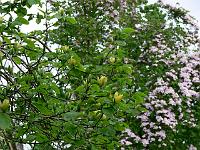 13-05-2007_10-09-32_78