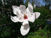 2009-04-25_14-43-59_0065