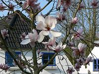 2011-04-21_16-25-37_0186