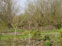 2014-04-10_08-44-03_0177