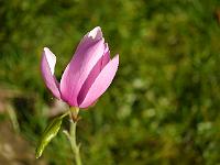 2012-03-22_09-12-41_0076