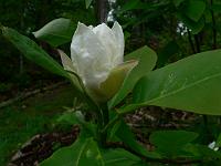 2011-05-18_09-25-15_0019