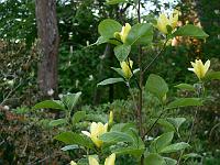 2009-05-22_19-31-45_0034