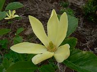 2009-05-24_10-19-35_0115