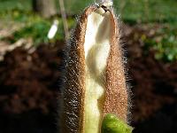 2011-04-17_07-48-44_0043