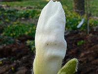 2011-04-19_17-01-32_0030