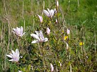 2014-04-28_16-04-15_0141