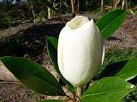 2008-07-28_08-04-06_0021